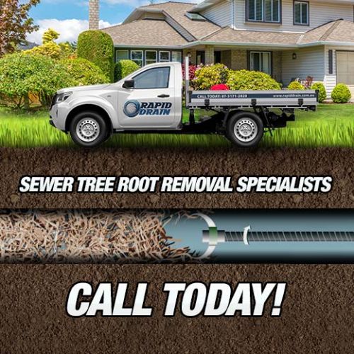 Sewer Tree Root Removal Specialists In Eildon Hill